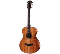 Taylor Custom #40: C22e 12-Fret B5040