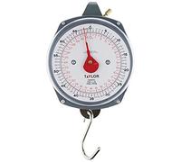 Taylor Dial Style 70-Pound Industrial Hanging Scale