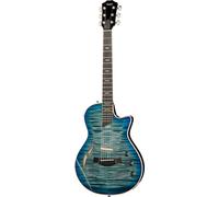 Taylor T5z Pro HB