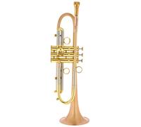 Taylor Trumpets Piranha Bb-Trumpet BF