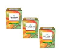 Taylors® | Té verde Sencha mango y cardamomo - 3 x 20 filtros de té (90 Gr) | Té Sencha Aroma Frutas Tropicales y Especias