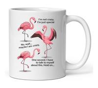 Taza Café Flamingo No Estoy Loco Solo Soy Especial Resistente Taza Desayuno Elegancia Mug Para Amiga Leche Espresso
