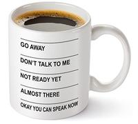 Taza con texto en inglés "You May Speak Now", taza con texto en inglés "Go Away Dont Talk To Me", taza Shh Almost Now You May Speak, divertidas tazas de café atrevidas, regalos para hombres, mujeres,