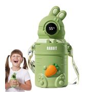 Taza de Agua con Paja y Tapa, Agua con Paja | Bonita botella de agua de acero inoxidable de 500 ml aislada | Botella de bebida para con pantalla digital de temperatura, taza de voy