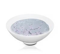 Taza de té que cambia de color, taza de cerámica con cambio de temperatura de flor de ciruelo, juego de sake de ciruela, melocotón y cereza, juego de vino