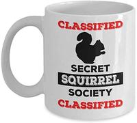 Taza De Té Sociedad De Ardillas Secretas Clasificado Gran Clasificado Tazas Desayuno Ideal Tazas De Cafe Decorativa Taza Personalizada Para Cumpleaños Oficina Regalo 330Ml