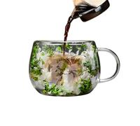 Taza de vidrio de doble pared - Taza de café de flores secas resistente al calor de 300 ml | Bebidas estéticas para decoración del hogar, la oficina y la granja | Cumpleaños navideña Novedad Va