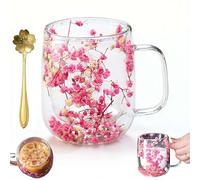Taza de vidrio de flores secas, taza de café aislada de doble pared de 430.9 g con flores reales en el interior, taza de té de vidrio de borosilicato estética con cuchara, regalos únicos de cumpleaños