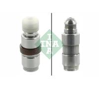 INA Componentes del motor 420009010