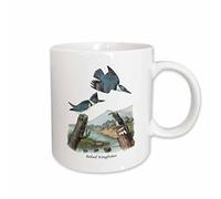 Taza Desayuno Cinturón De John James Audubon Colorido Taza Café Con Asa Mug Coffee Para Leche Familiare Oficina
