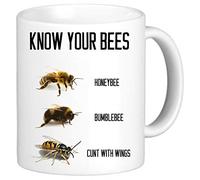 Taza divertida de oficina taza de regalo de Papá Noel Secreto, grosero, novedad conoce tus abejas