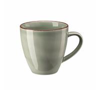 Taza Rosenthal Profi Casual Moos Con Asa 0,35 L