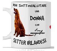 Taza Setter Irlandés para desayuno, té, tisana, café, capuchino. Gadget taza nunca subestimar una mujer con un perro Setter irlandés. Idea de regalo original