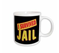 Taza Te Diseño De Orgullo Y Humor Para Sobrevivir En La Cárcel Colorido Taza De Cerámica Resistente Taza De Porcelana Para Recuerdos Espresso Oficina