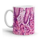 Taza Te Histología Del Estómago Resistente Taza Café Elegancia Taza De Porcelana Para Amiga Espresso Decorar