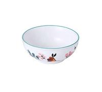 tazas de cerámica, tazas de sopa, Portion Control Plate,Divided Dinner Plates,Ceramic Ramen Bowls, Deep Soup Bowls, Rice Bowls Microwave Safebowl-Spring-Bowl(Spring,Bowl)