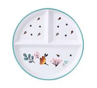 tazas de cerámica, tazas de sopa, Portion Control Plate,Divided Dinner Plates,Ceramic Ramen Bowls, Deep Soup Bowls, Rice Bowls Microwave Safebowl-Spring-Bowl(Spring,Plate)