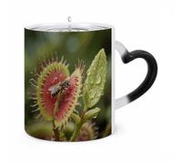Tazas que cambian de color, atrapamoscas Venus, taza de café sensible al calor, taza de cerámica novedosa con asa, tazas mágicas, vasos de café que cambian de temperatura para mujeres y hombres, re