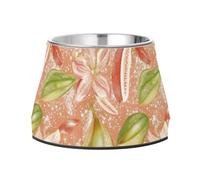 Tazón de comida para perros de acero inoxidable mejorado con frutas de estrella fresca, color oro rosa, para perros, gatos, conejos, pájaros, comer lentamente