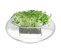 Tazón De Vidrio De Loto: Recipiente Grande Para Plantas Hidropónicas - Jarrón Transparente Decorativo Para Pescado De Bonsai Suculento - Diseño De Luz De Frasco Poco Profundo Para La Casa De Jardín In