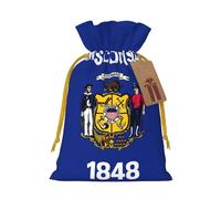 TBABMDPDM Bolsas de regalo de Navidad con estampado de bandera del estado de Wisconsin, bolsas de arpillera con cordón, varios tamaños para recuerdos de fiesta