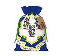TBABMDPDM Connecticut State Flag Print - Bolsas de regalo de Navidad, bolsas de arpillera con cordón, varios tamaños para recuerdos de fiesta