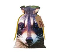 TBABMDPDM Little Raccoon Face 1 - Bolsas de regalo de Navidad, bolsas de arpillera con cordón, varios tamaños para recuerdos de fiesta