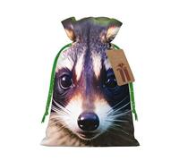 TBABMDPDM Little Raccoon Face 1 - Bolsas de regalo de Navidad, bolsas de arpillera con cordón, varios tamaños para recuerdos de fiesta