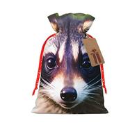 TBABMDPDM Little Raccoon Face 1 - Bolsas de regalo de Navidad, bolsas de arpillera con cordón, varios tamaños para recuerdos de fiesta