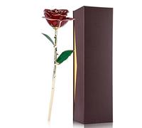 Tbest Rosa Real Bañada en Oro de 24 Quilates - Flor Roja de Tallo Eterno Preservado Hecha a Mano, Lujo único Día de San Valentín, Aniversario, Boda, Decoración del Hogar