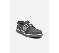 TBS Globek 44 Gris