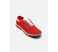 TBS JAZARIA 37 Rojo