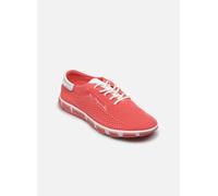 TBS JAZARIA 37 Rosa