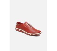 TBS Jazaru 36 Rojo