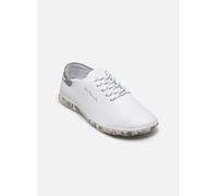 TBS Jazaru 37 Blanco