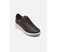 TBS Made in France Brandie 38 Marrón