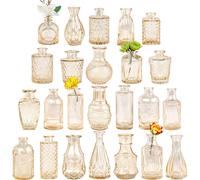 TBWIND Glass Bud Vase Set of 24 Small Amber Flower Vases for Centerpieces in Bulk Mini Vintage Vase for Wedding Decor Single Flowers and Home Table D?