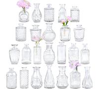 TBWIND Glass Bud Vase Set of 24 Small Clear Flower Vases for Centerpieces in Bulk Mini Vintage Vase for Wedding Decor Single Flowers and Home Tabl