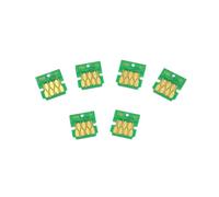 TBXwsofl Chip de Caja de Mantenimiento de Chip de Tanque de Tinta Residual T3661 Compatible con Suministros de Impresora XP 8500 XP8505 XP 8600 XP6000 XP 8600 X-8500 XP 8700 XP15000 XP 970(20pcs)