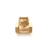 TBZFNZXF DN15 DN20 DN25 - Válvula de retención de rosca hembra horizontal con boca de alambre (1-1/4 pulgadas)