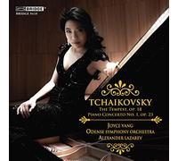 Tchaikovsky, P.I. - Tchaikovsky: Piano Concerto No.1