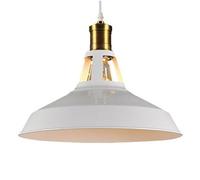 TCHAUSGZOZ Lámpara Industrial Vintage - De Techo Ajustable E26 Para Comedor, Cocina Y Pasillo Diseño Rústico Aluminio En Negro(White,27cm)