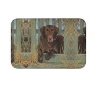 Tcoay Alfombra Antideslizante y Absorbente para baño, Ideal para Decorar el Suelo. Diseño con Perro Labrador Color Chocolate.