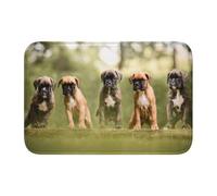 Tcoay Alfombra Antideslizante y Absorbente para baño, Ideal para Decorar el Suelo Perros bóxer, Cachorros y Mascotas.