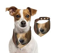 Tcoay Collie de Pelo Largo Lassie Perros Perros Grandes y esponjosos Mascotas,Pañuelo con Babero para Mascotas, pañuelo para Perros y Gatos, Babero de Toalla, Bufanda Ajustable para Mascotas,S