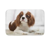 Tcoay Felpudo de baño Overlock, Antideslizante, Absorbente, Cavalier King Charles Spaniel Brown Spaniel