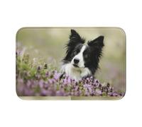 Tcoay Felpudo de baño Overlock, Antideslizante, Absorbente, para decoración de Suelo, para Border Collie, Color césped, Color Negro