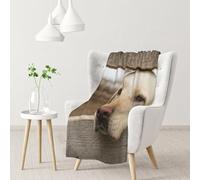 Tcoay Fotos de Labrador Retriever,Manta Decorativa para sofá Cama o Silla, Manta de Viaje de 76 x 101 cm.