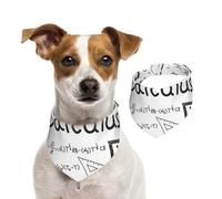 Tcoay Matemáticas Geometría Geek Cálculo,Pañuelo con Babero para Mascotas, pañuelo para Perros y Gatos, Babero de Toalla, Bufanda Ajustable para Mascotas,S