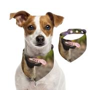Tcoay Pastor Belga Malinois Mascotas Perros Pastor Belga Malinois,Pañuelo con Babero para Mascotas, pañuelo para Perros y Gatos, Babero de Toalla, Bufanda Ajustable para Mascotas,S